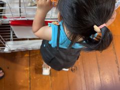 -蓝湾碧波·老字号·疍家非遗海上餐厅