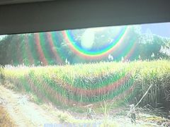 -华夏良子·足道SPA艾灸(翠微店)