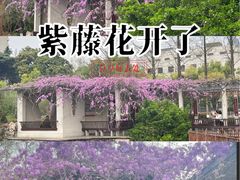 -郑和公园