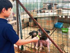 -昆明春城湖畔度假村