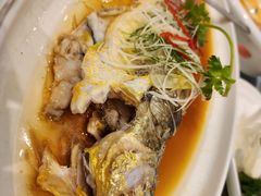 -骏莱海鲜鱼港(五角场店)