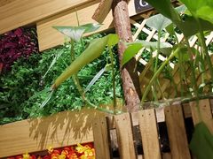 -鸟语林烧烤之约(四平店)