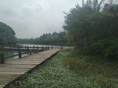 -艾溪湖湿地公园