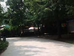 -康庄公园