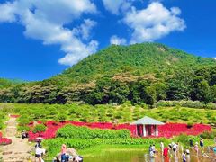 -广州市石门国家森林公园