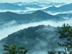 -莫干山风景区
