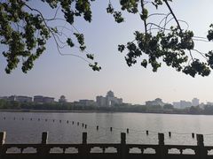 -莲花池公园