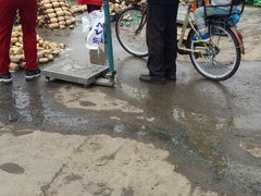 -江杨农产品批发市场