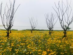 -宁波冰雪大世界(北仑区)