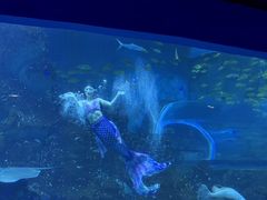 -威海华夏城景区