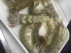 -大连海鲜斑鱼火锅(安平店)