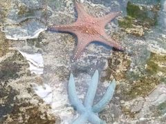 -亚龙湾中心广场