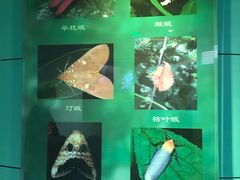 -上海昆虫博物馆