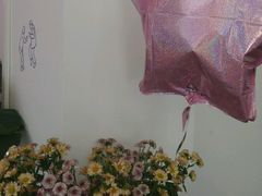 -花沐 FLOWER BATH(凤凰城店)