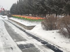 -长春公园(普阳街道)