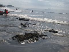-盐洲岛