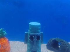 -西安华夏文旅水世界