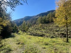 -苏木山森林公园