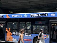 -帕帕拉兹宠物(亚洲旗舰店)