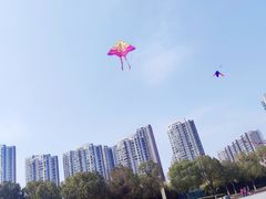 -汉江湾体育公园