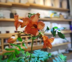 -今日陶艺(富力广场店)