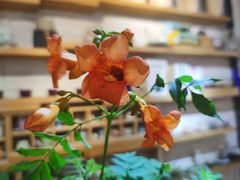 -今日陶艺(富力广场店)