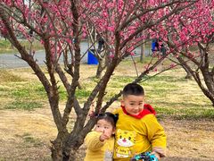 -蜀冈西峰生态公园