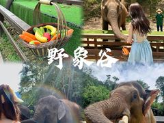 -西双版纳傣族园