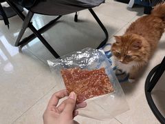 -长平腊味·潮汕特产