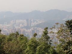 -阳台山森林公园