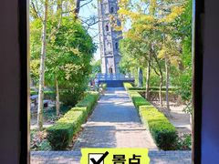 -上海佘山国家森林公园天马山园