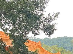 -深圳仙湖植物园
