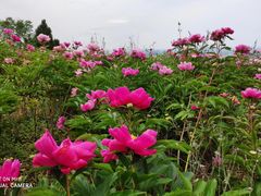 -金堂县云顶石城风景区