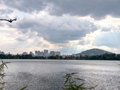 -东湖食堂·湖景餐厅•会议