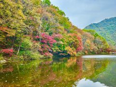 -龙道沟景区