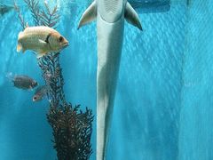 -大连老虎滩海洋公园