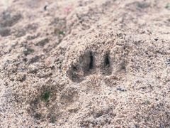 -ChanDu躔度咖啡(灯塔店)