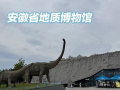 -安徽省地质博物馆
