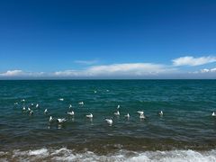 -青海湖国家重点风景名胜区