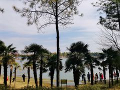 -美兰湖景区