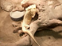 -上海大自然野生昆虫馆