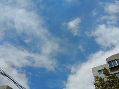 -山东师范大学(千佛山校区)