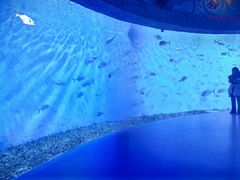 -哈尔滨波塞冬海底世界