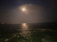 -枸杞岛