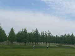 -黄海国家森林公园