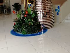 -南宫温泉水世界