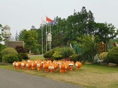 -上海长兴岛郊野公园