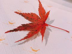 -神户牛排餐厅MOURIYA(总店)