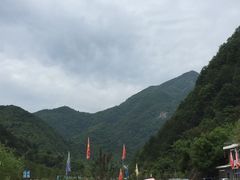 -牛背梁国家森林公园