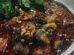 炝螺肉-苍洱春饭店